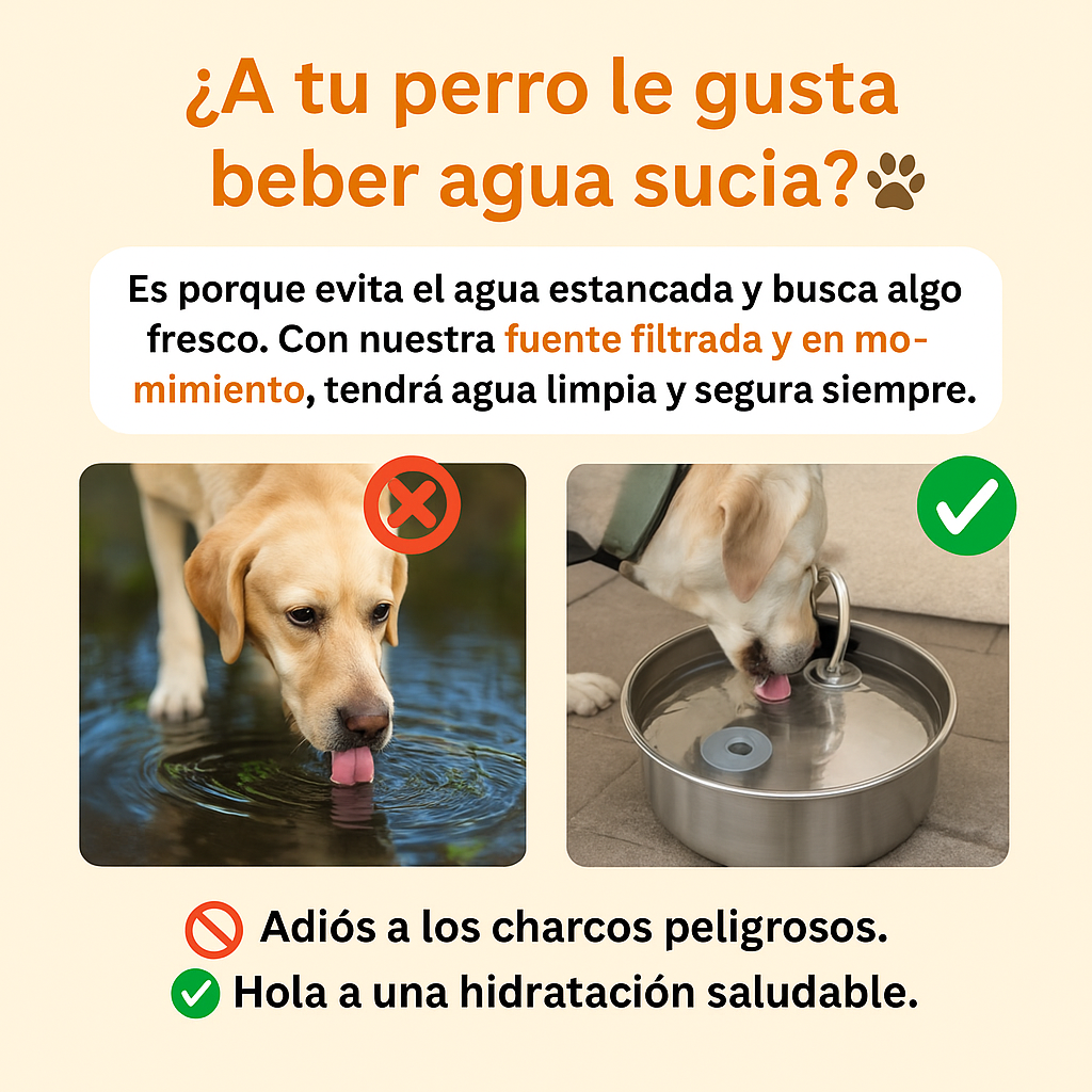Proteja a su perro de la deshidratación y las emergencias urinarias.