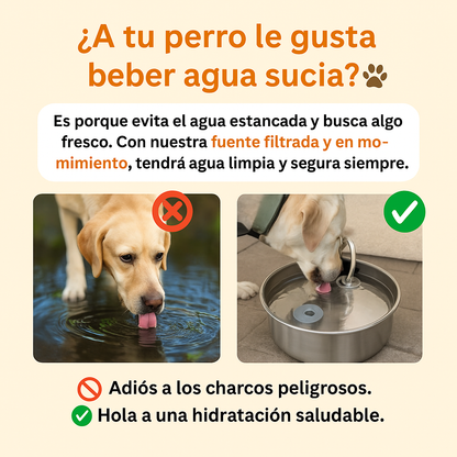 Proteja a su perro de la deshidratación y las emergencias urinarias.