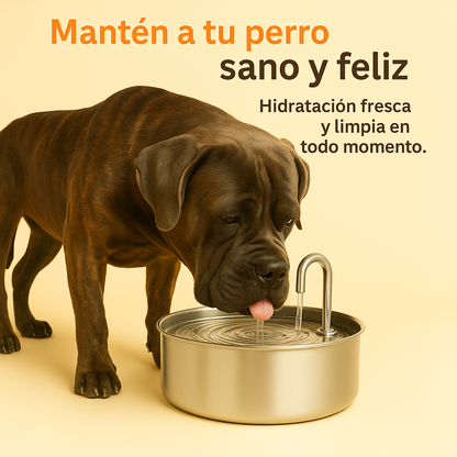 Proteja a su perro de la deshidratación y las emergencias urinarias.